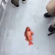 camping6464 tweet media