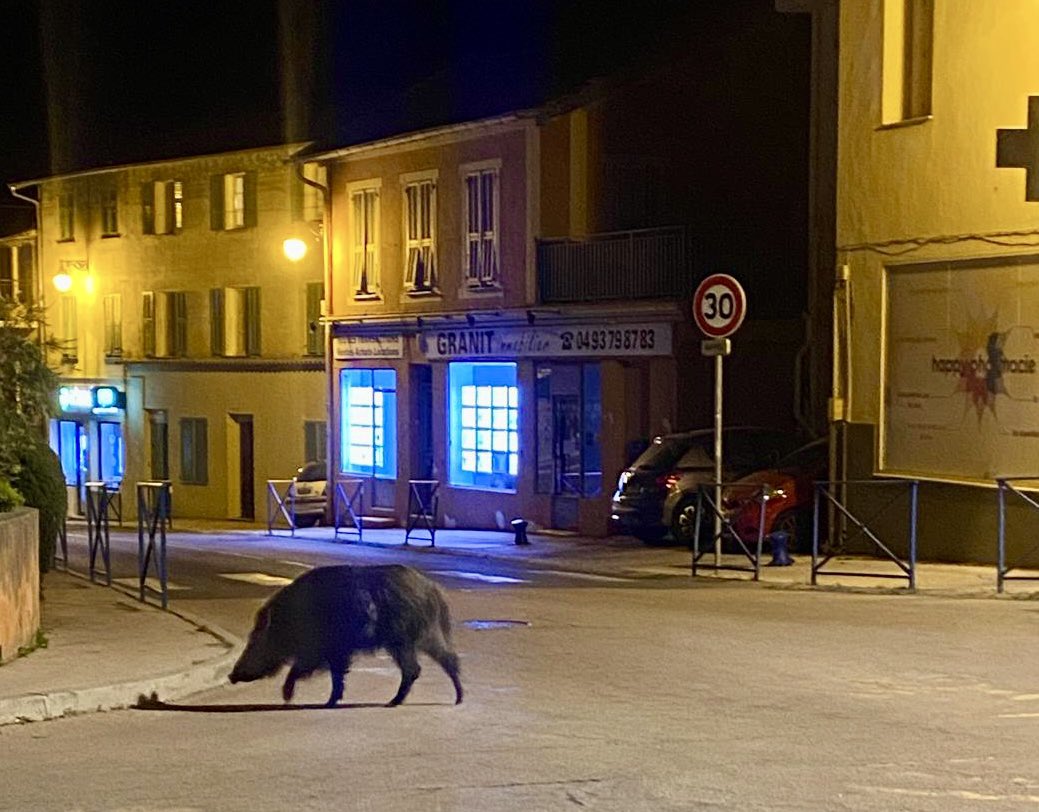 Bgasiglia's tweet photo. Quand tu rentres de conseil municipal à @TourretteLevens. https://t.co/X4sBn41Y7u