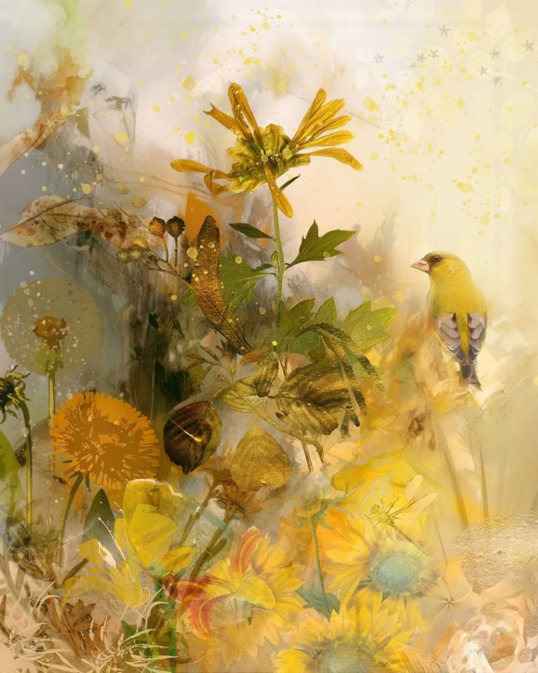 mami_mami813's tweet photo. “My heart is like a singing bird.”
— Christina Rossetti
Today is a new day full of quiet miracles waiting for you to notice them..
#FreshMorning #BrightWednesday https://t.co/D8ekjOnaCY