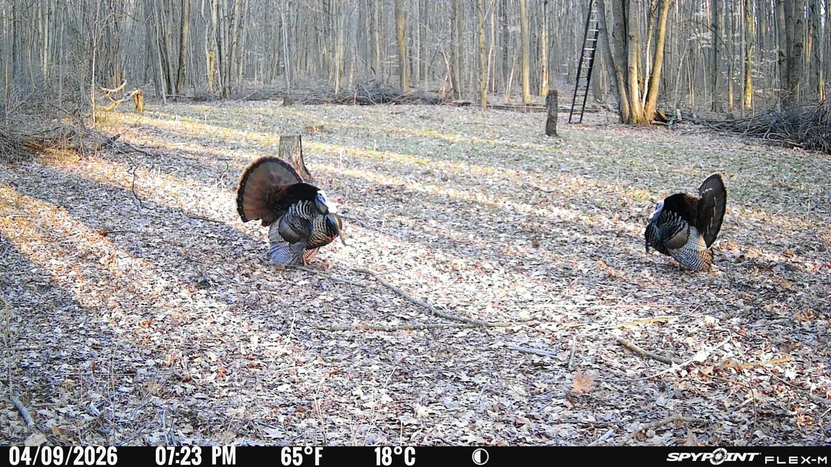 Ż𝕌𝐋𝐔 tweet media