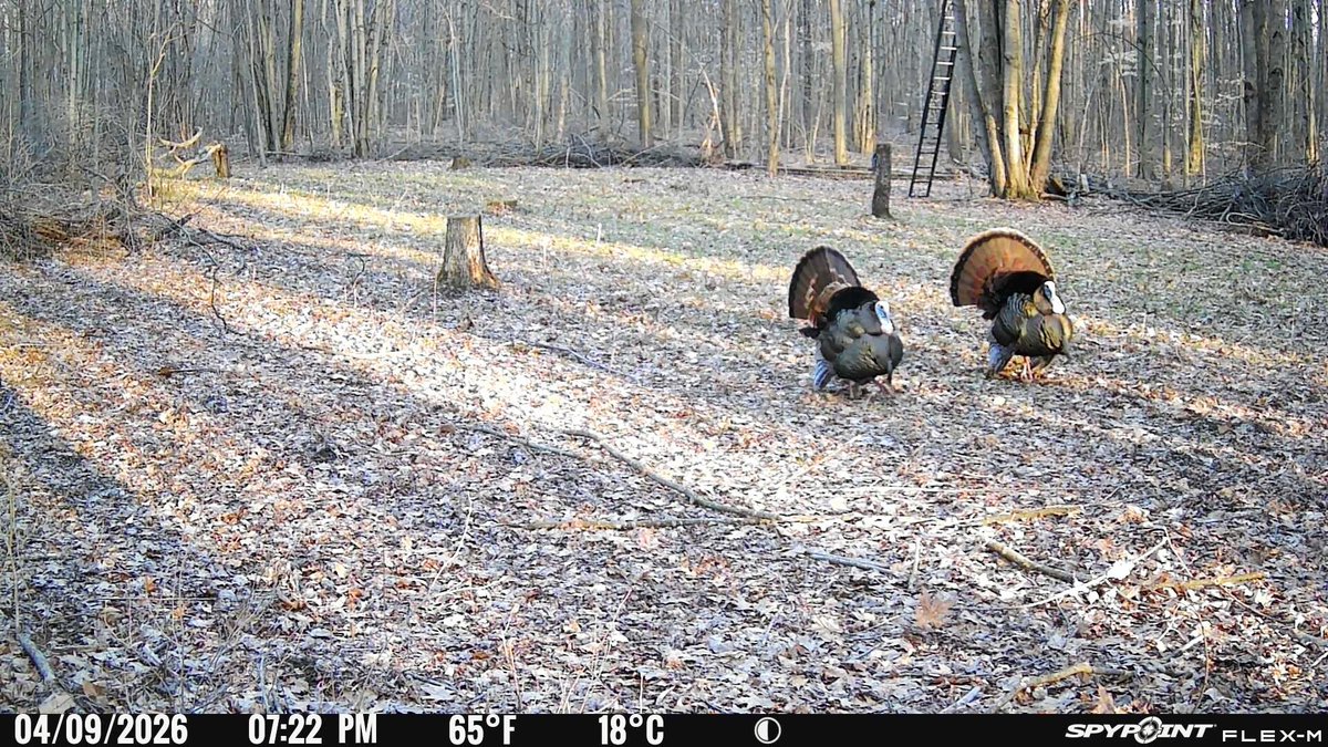 Ż𝕌𝐋𝐔 tweet media