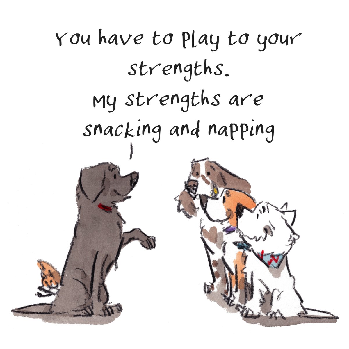 iaindwelch's tweet image. Good night, lovely people and lovely dogs.
The lab is playing to their strengths.
Sleep well and sweet dreams.
I hope that you have a wonderful day tomorrow. 
#hoorayfordogs #labrador #springer #beagle #westie #redsquirrel