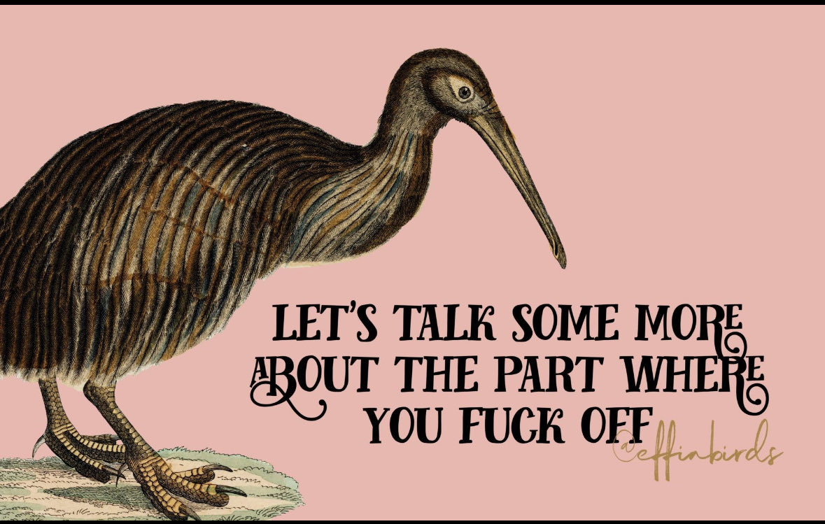 genuine jen 🌼✌🏼🦖 tweet media