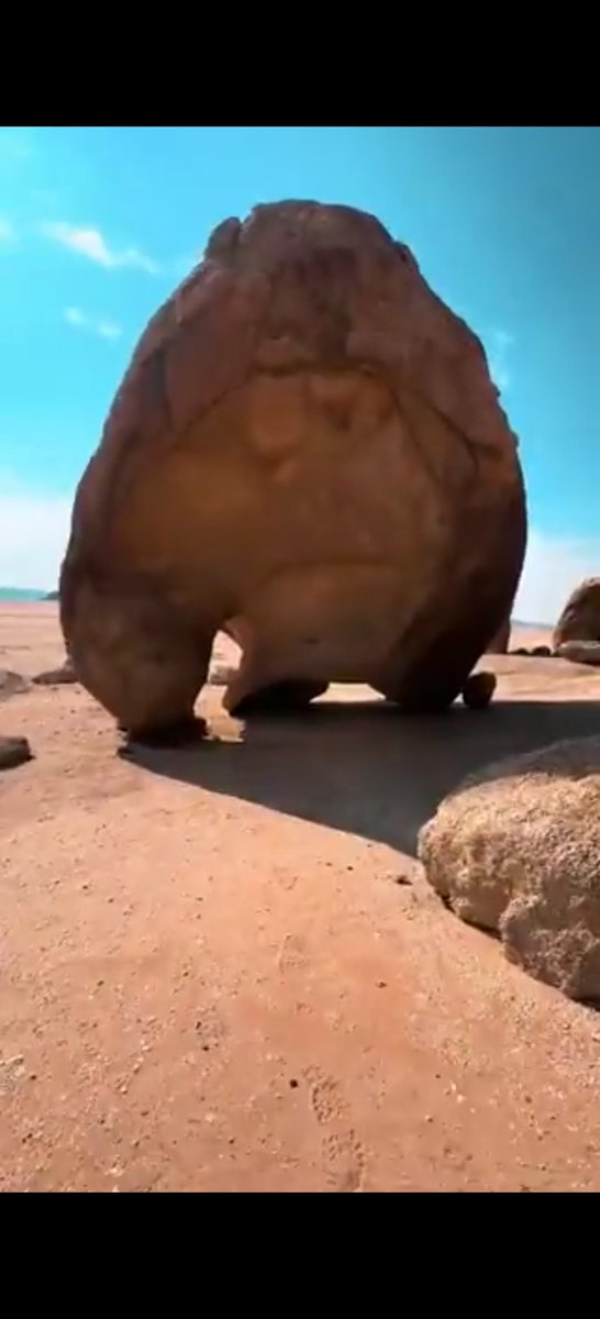 معلم. tweet media