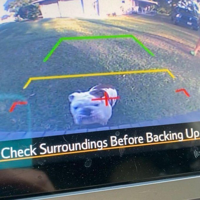 messed up cars tweet media