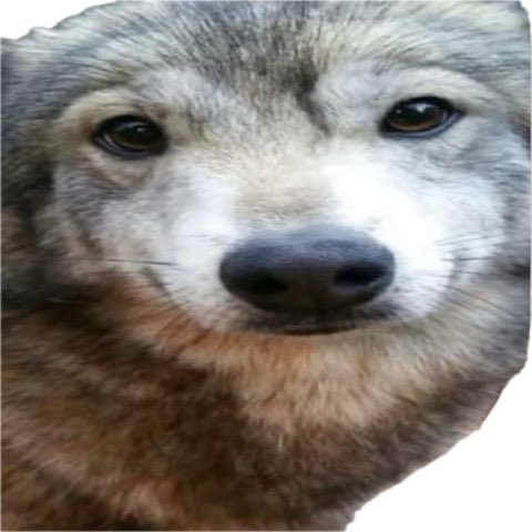 iniquin402 tweet media