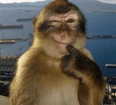 𝚈𝚘𝚗𝚌𝚎́ 𐚁 tweet media