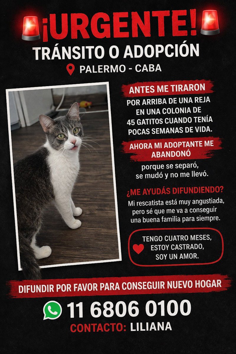 🇦🇷👑Merlina Addams🇻🇪🐱🇺🇦 tweet media