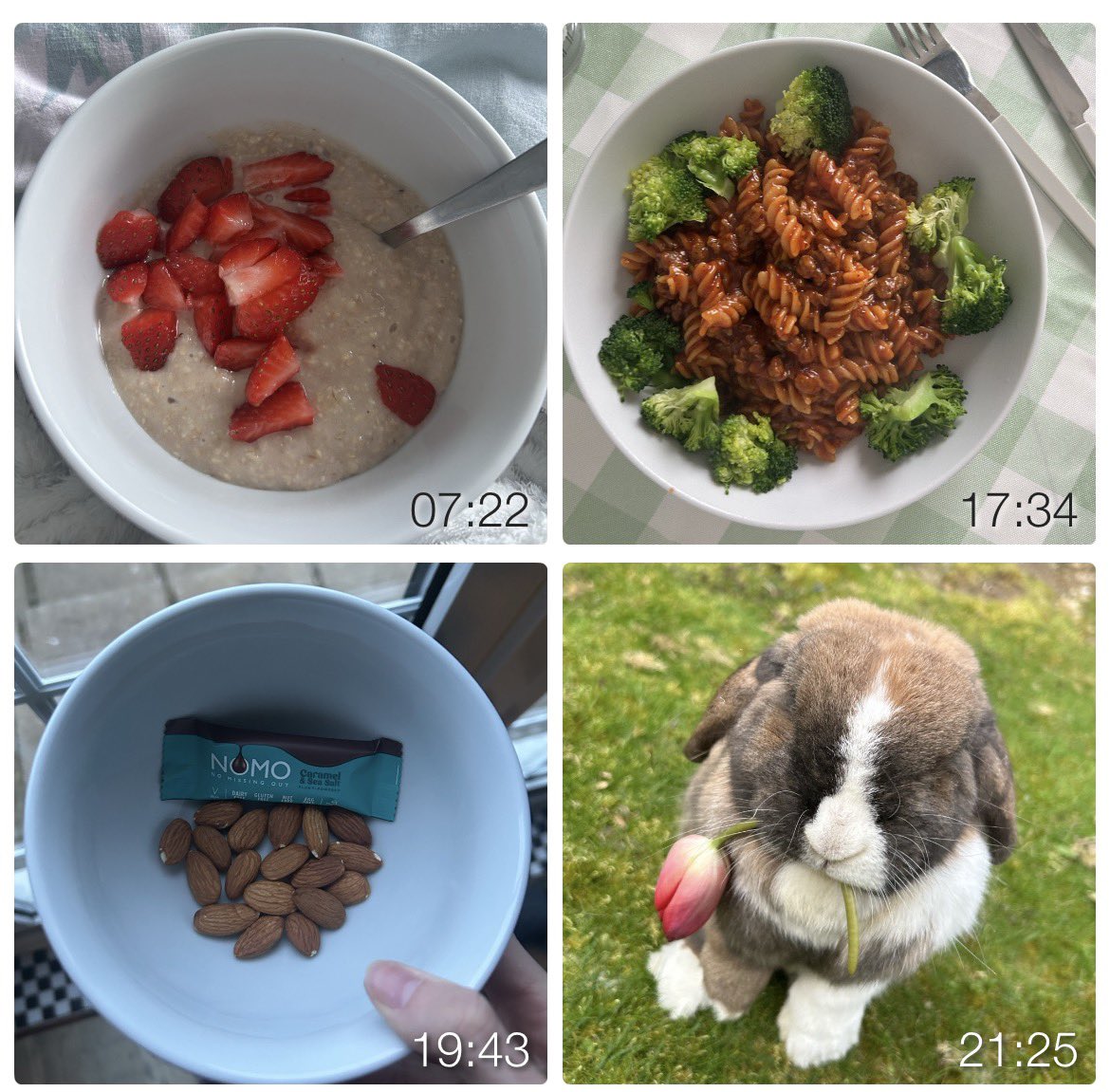 strawbs4vivi's tweet image. what i ate today ~ day 4 of harm reduction / maintenance !! ~ 980 calories

(rabbit not included.....)