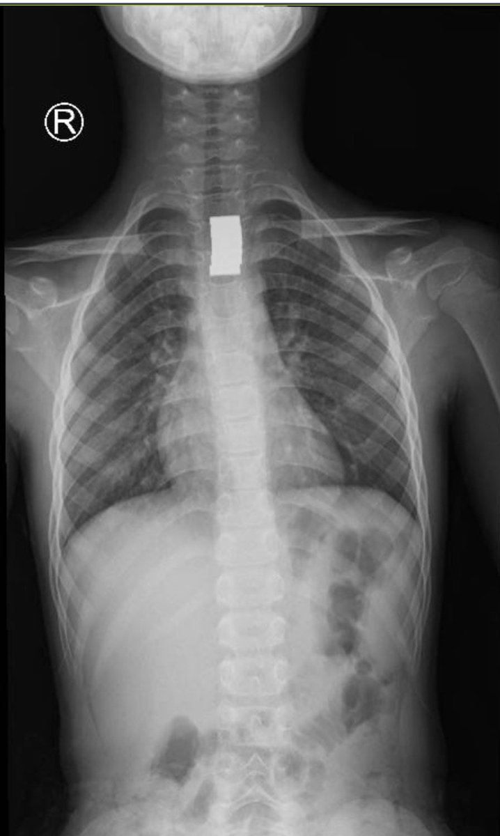 Abdulrahman Alamri 🇸🇦 tweet media