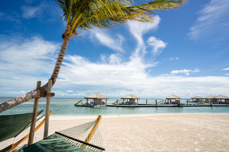 The Caribbean shines at Perfect Day at CocoCay, where private cabanas, effortless lounging, and elevated island moments turn every stop into something special. 

✉️ Contact me today to book your Caribbean getaway.