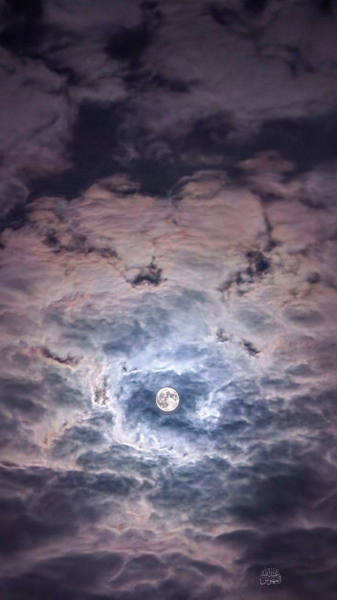 🥈عبدالله المهوّس 📸 tweet media