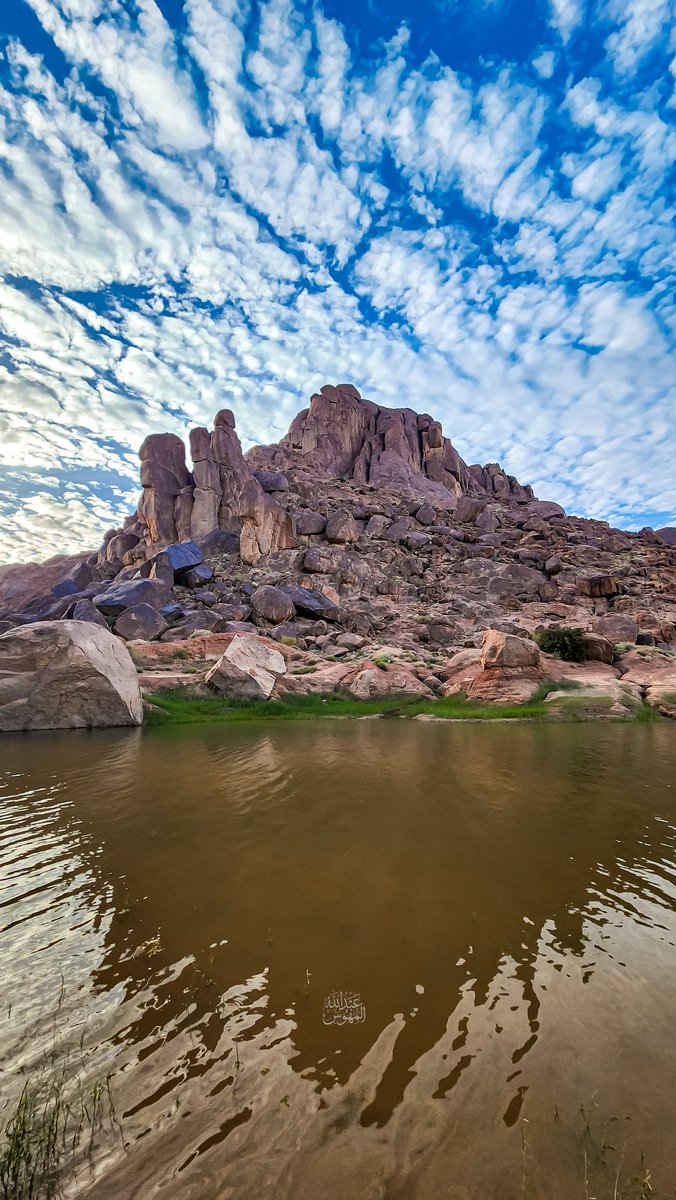 🥈عبدالله المهوّس 📸 tweet media