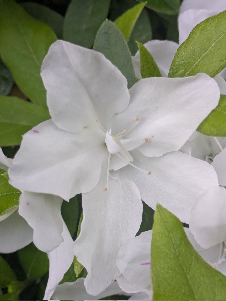 あいぞの tweet media