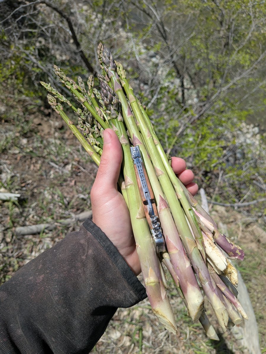 Ben Justman🍷 tweet media