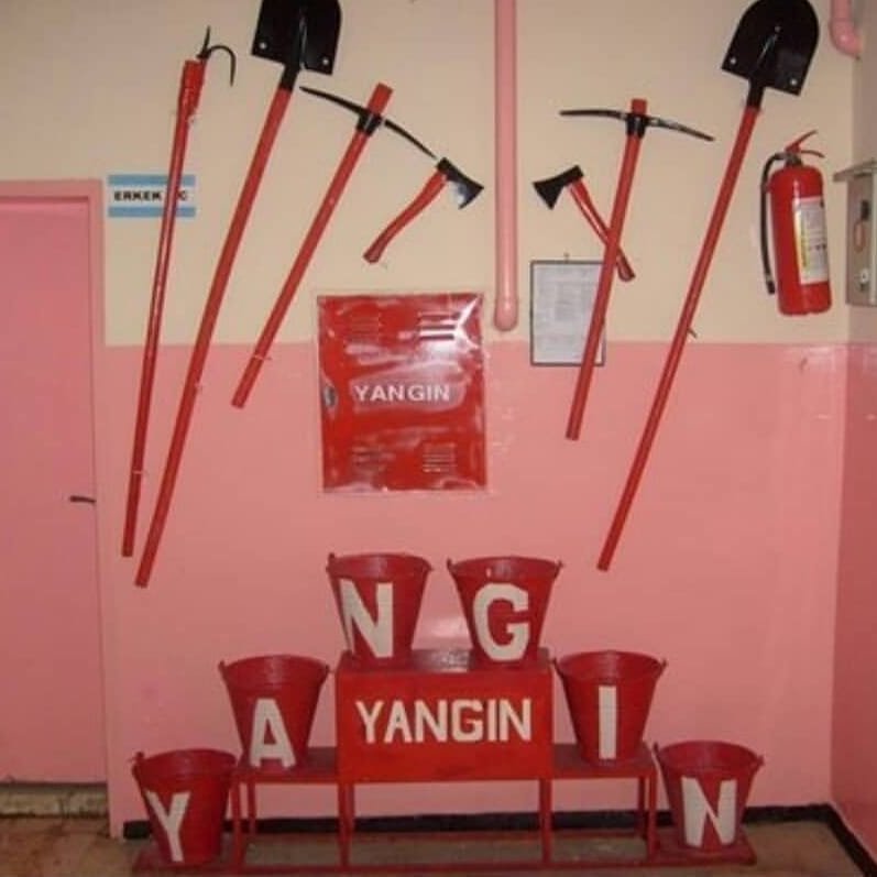 carpe diem tweet media