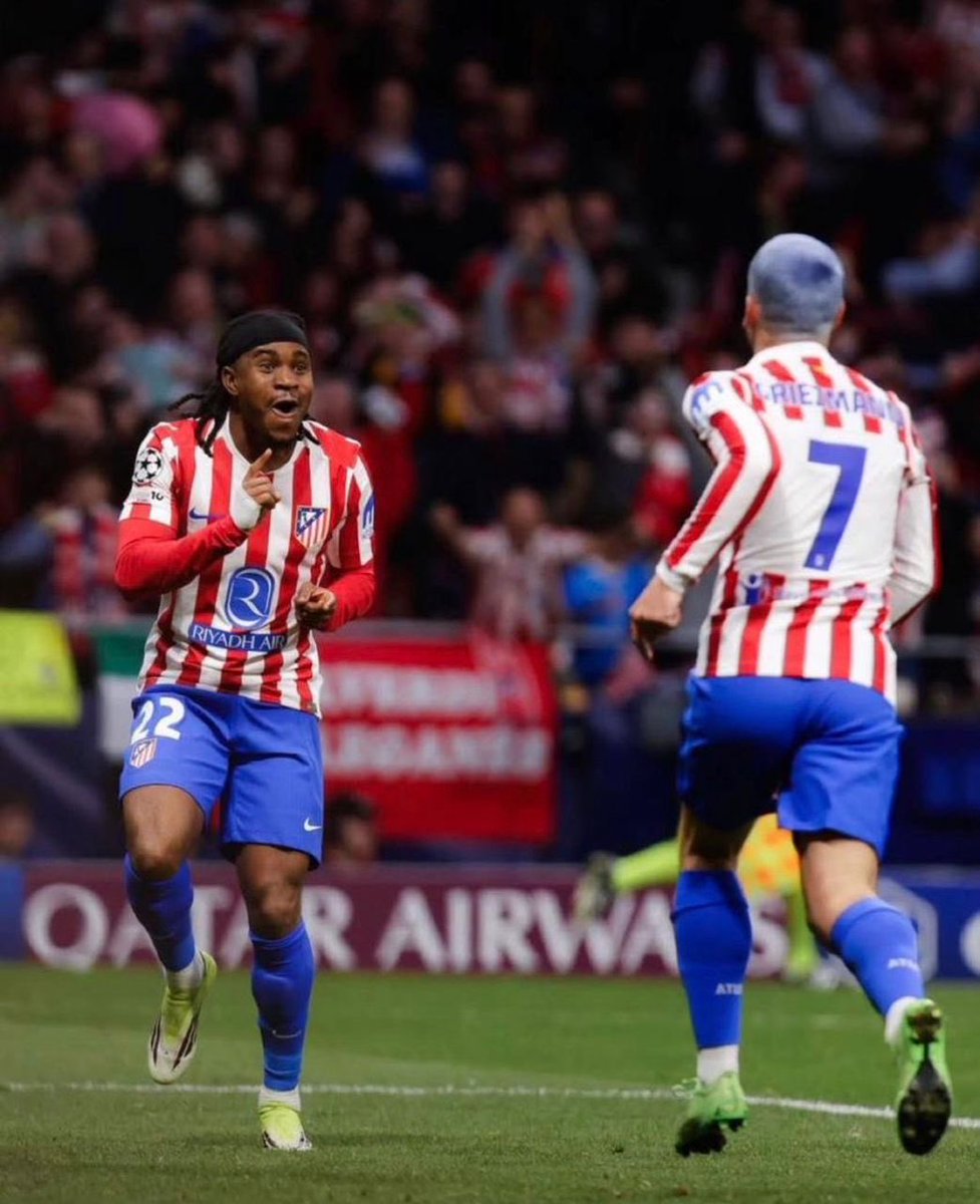 Brilliant🦉 tweet media