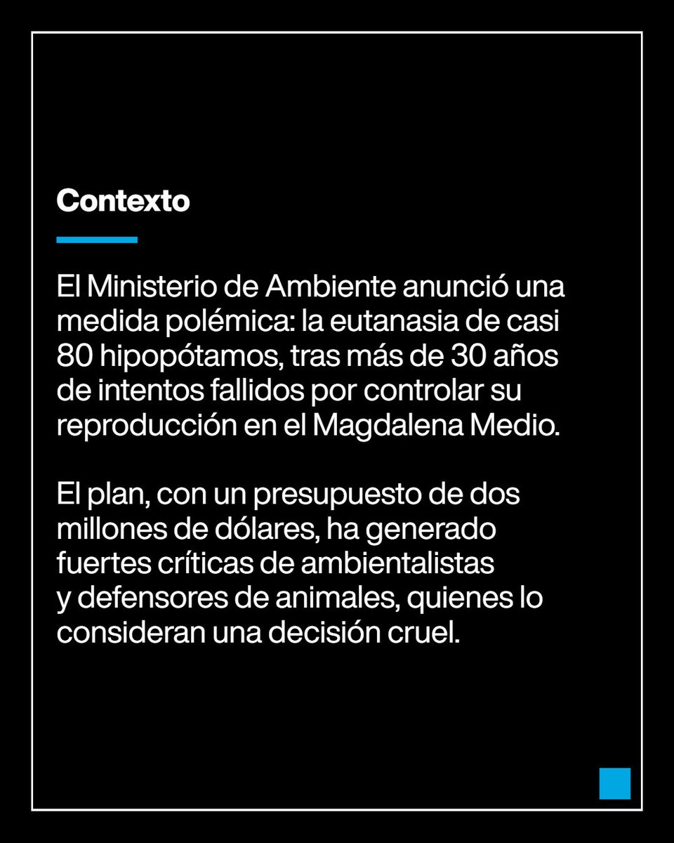 France24_es's tweet image. 🇨🇴🦛 Casi 170 #hipopótamos en Antioquia, #Colombia como consecuencia de los cuatro primeros llevados por el capo #PabloEscobar a su hacienda Nápoles. El Gobierno no ha logrado controlar su reproducción y ahora opta por la eutanasia de 80 de ellos ➡️ f24.my/BrN8