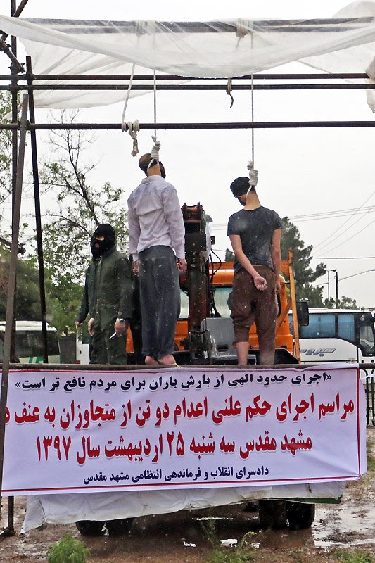 Dan 🇺🇸 make the world safer again 🇺🇸 tweet media