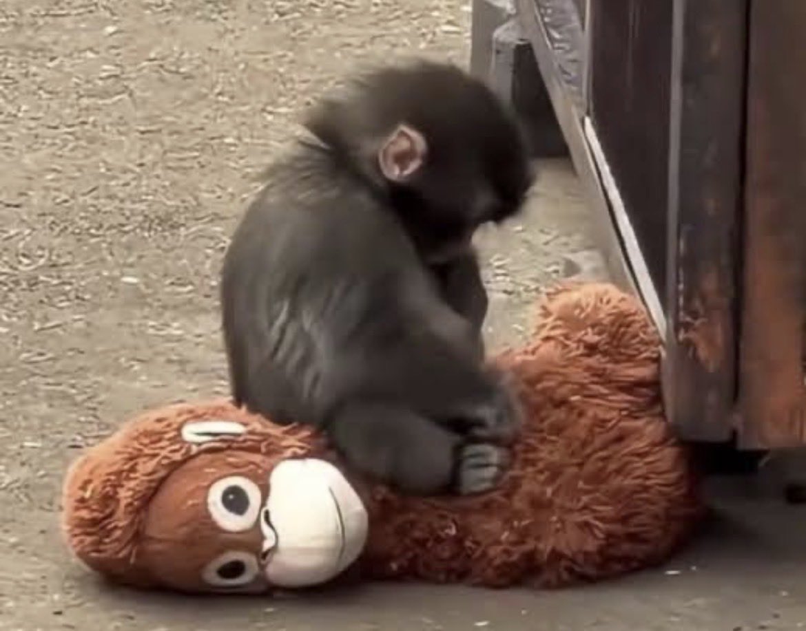 Edgü Balgay tweet media