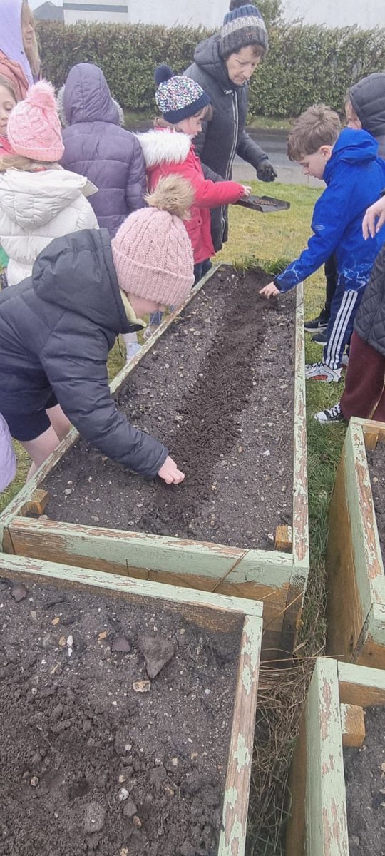 TidyBelmullet's tweet image. We had a lovely morning planting with 1st Class recently. The weather wasn't great but that didn't stop 1st class! Well done! We planted 80 Anemone corms. God bless your work and we look forward to seeing you again when the Anemones are in bloom.
#planting  #welldone #school
