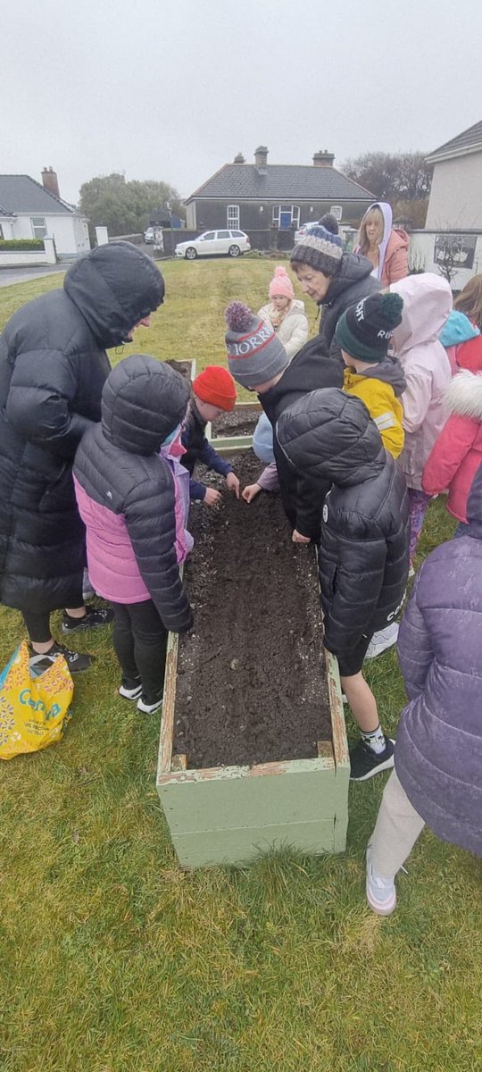 TidyBelmullet's tweet image. We had a lovely morning planting with 1st Class recently. The weather wasn't great but that didn't stop 1st class! Well done! We planted 80 Anemone corms. God bless your work and we look forward to seeing you again when the Anemones are in bloom.
#planting  #welldone #school