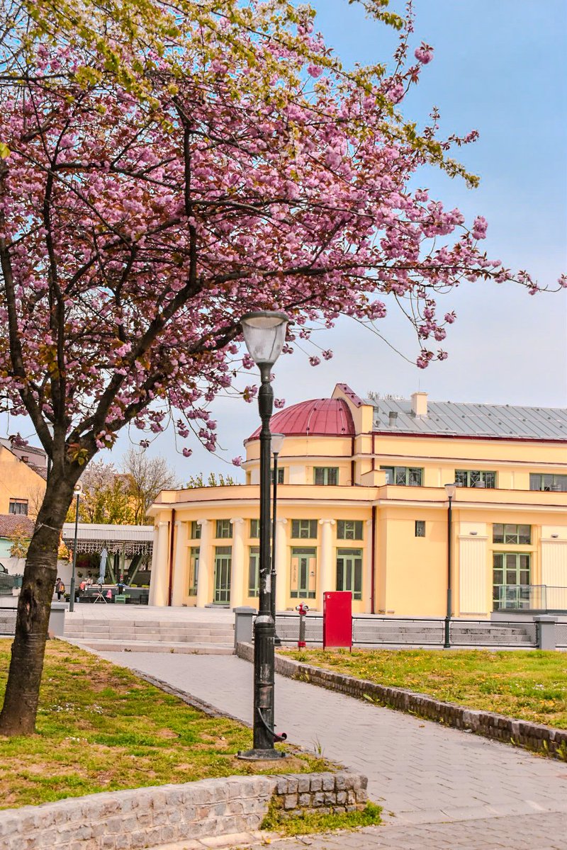 🎀 Dragica Basarić 🎀📸 tweet media