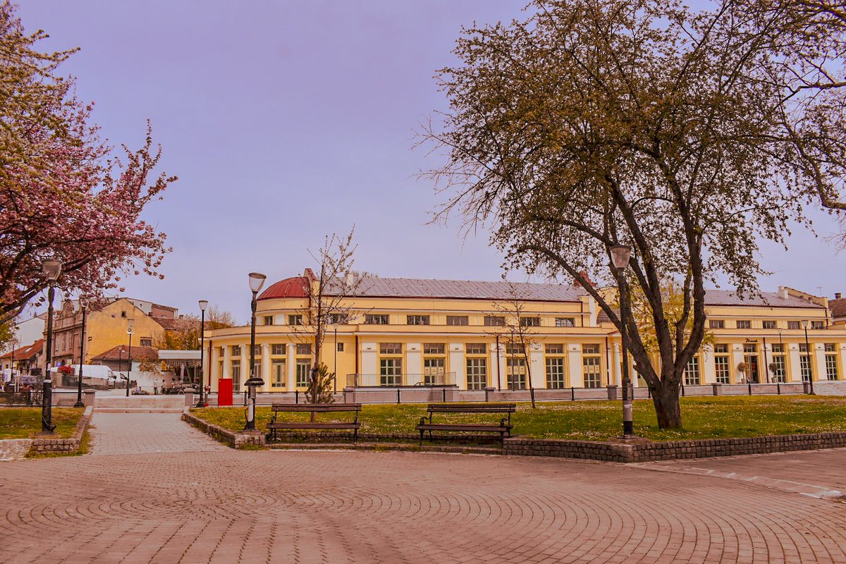 🎀 Dragica Basarić 🎀📸 tweet media