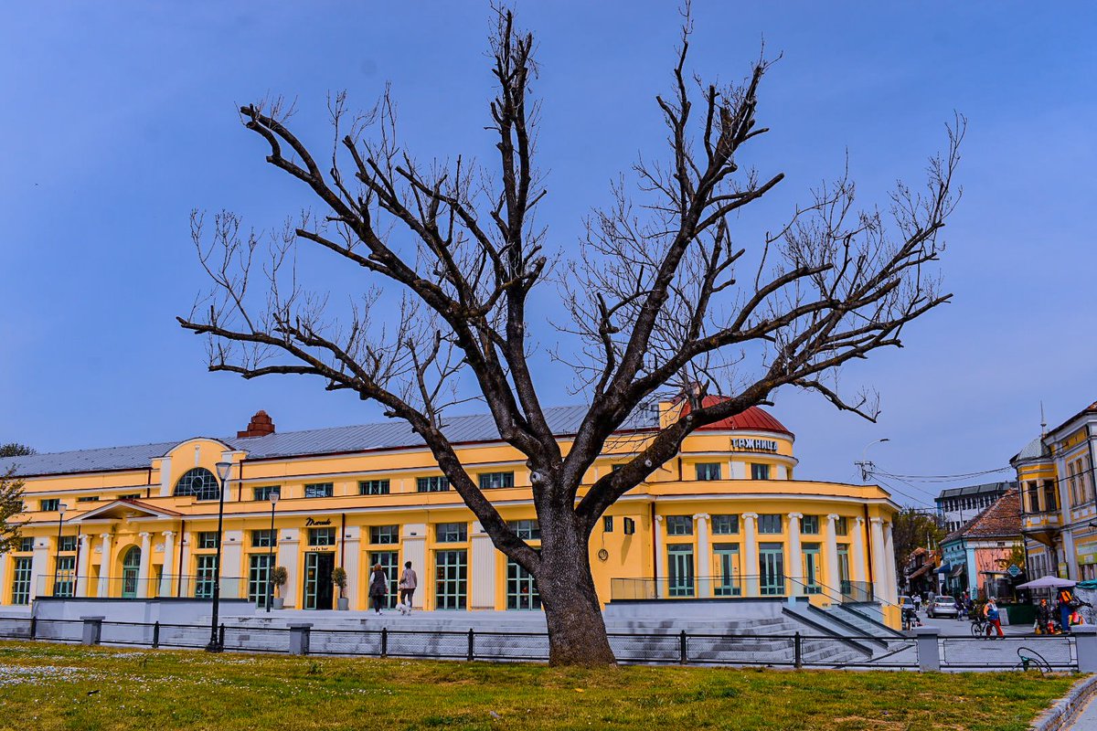 🎀 Dragica Basarić 🎀📸 tweet media