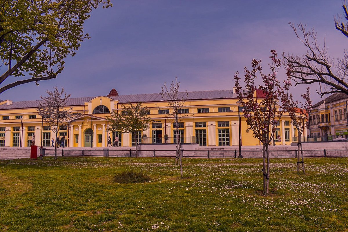 🎀 Dragica Basarić 🎀📸 tweet media