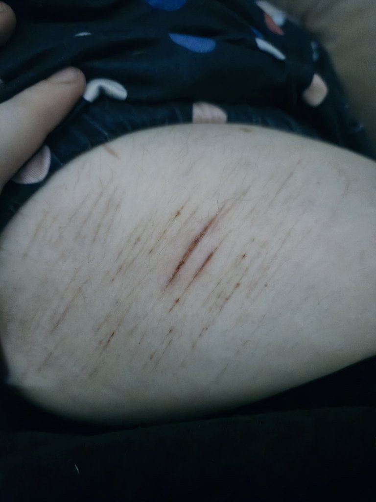 kiku honda of shedtwt tweet media