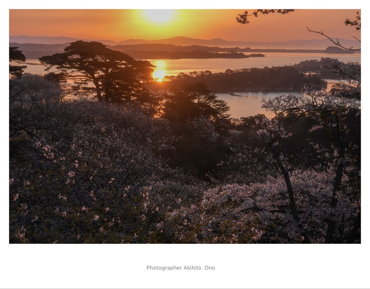 ArtBridge8 tweet media