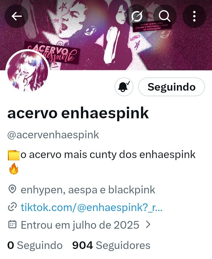 acervo enhaespink 🍋 tweet media