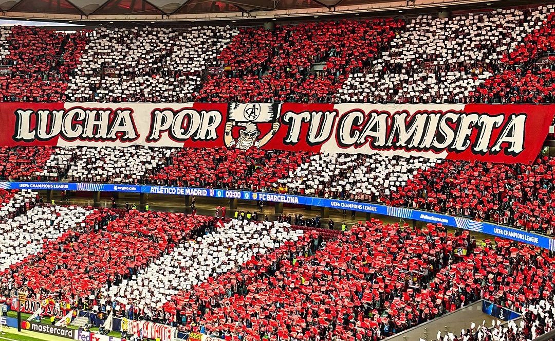 TaniaMartinC's tweet photo. Se luchó y se creyó. Nunca dejamos de hacerlo. Siempre Atleti♥️🤍 https://t.co/iza8IZw5hk