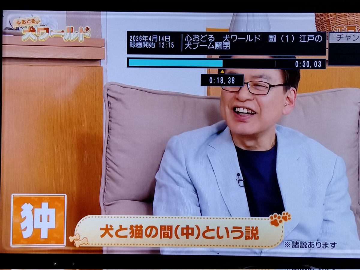katupa4's tweet photo. #狆 ちん　犬と猫の中　#心おどる犬ワールド　Ｅテレ火1215　テレビの番組表で捜しずらい　#犬 https://t.co/ZkX5SyrxEl