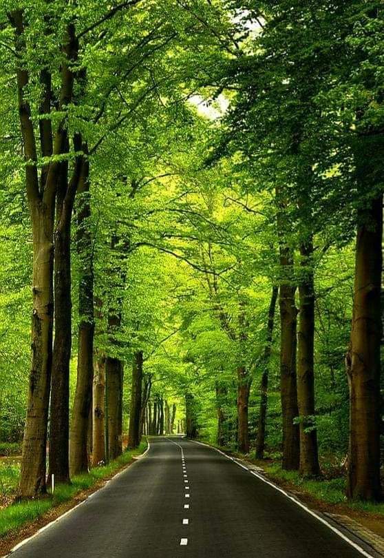 Ali elasmr tweet media