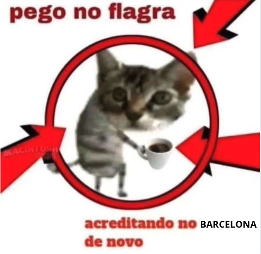 Stake Brasil 🇧🇷 tweet media