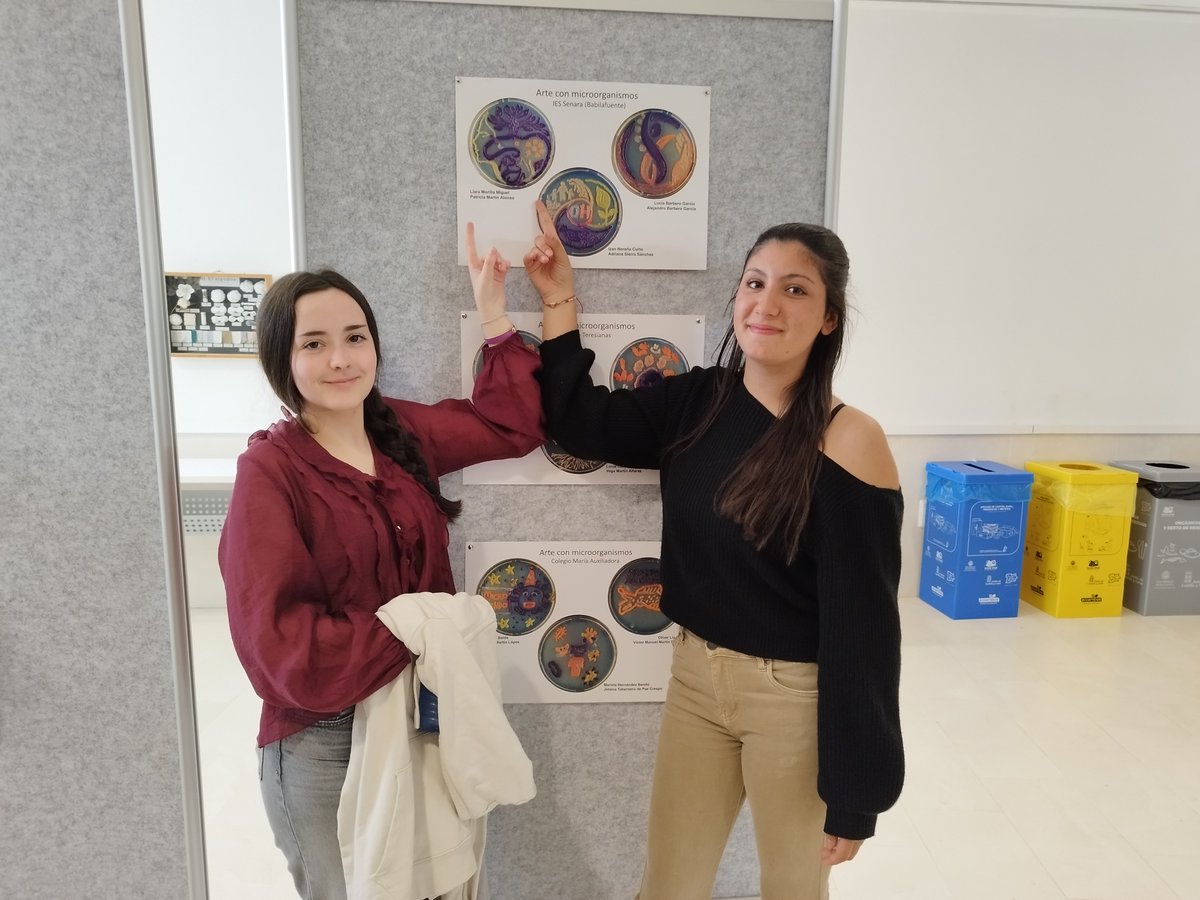 InstitutoSenara tweet media