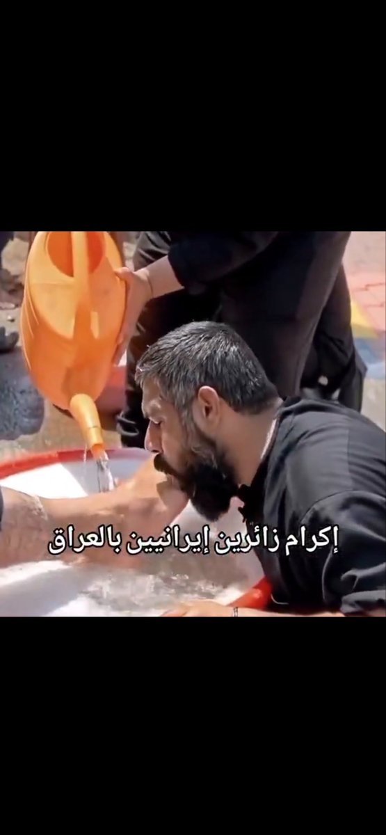 الطير tweet media