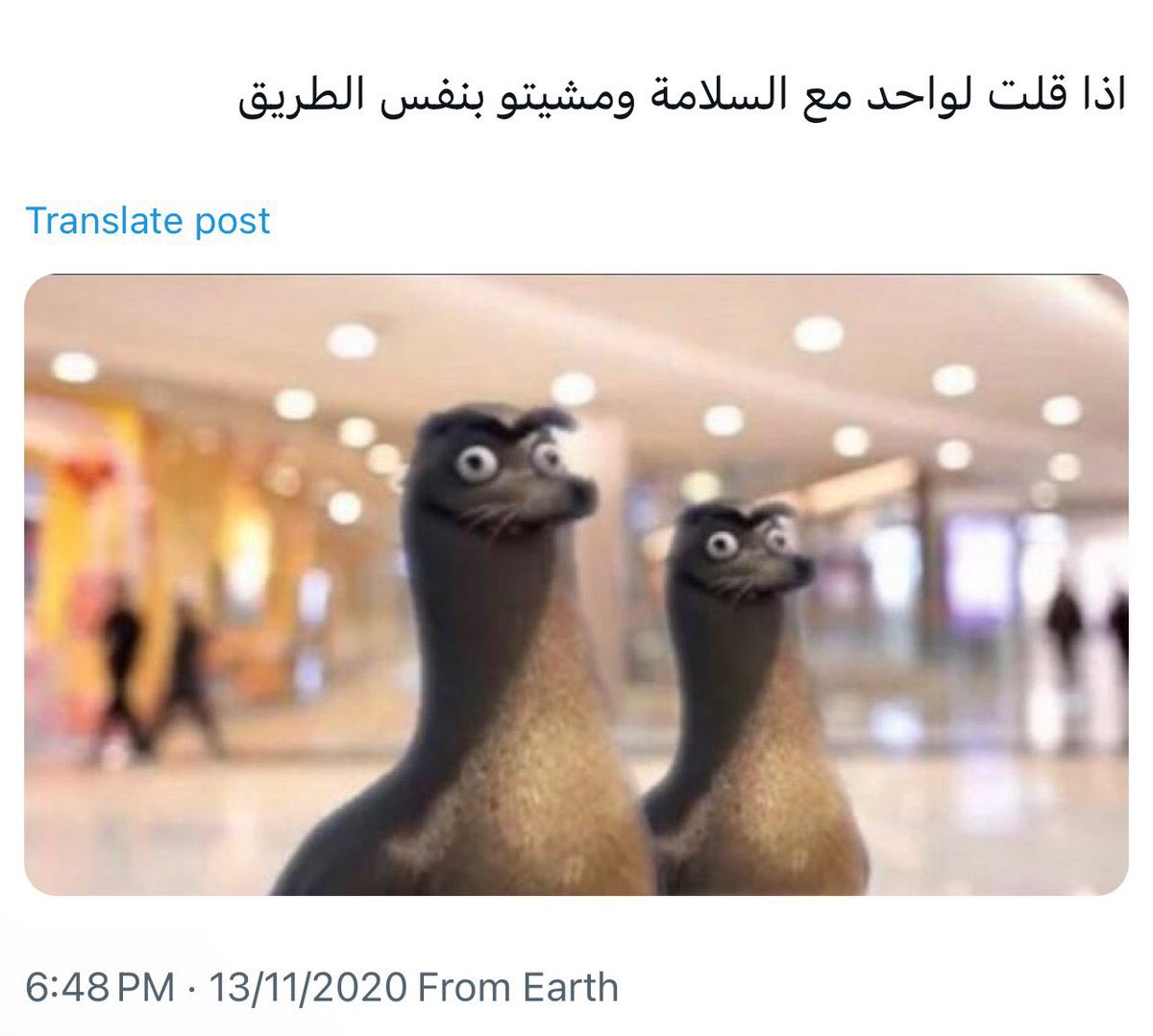 أمجاد tweet media