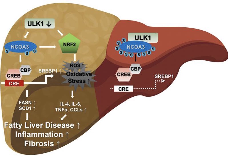 E. Dale Abel tweet media