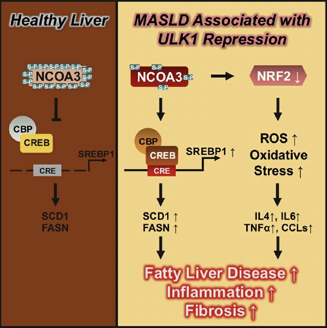E. Dale Abel tweet media