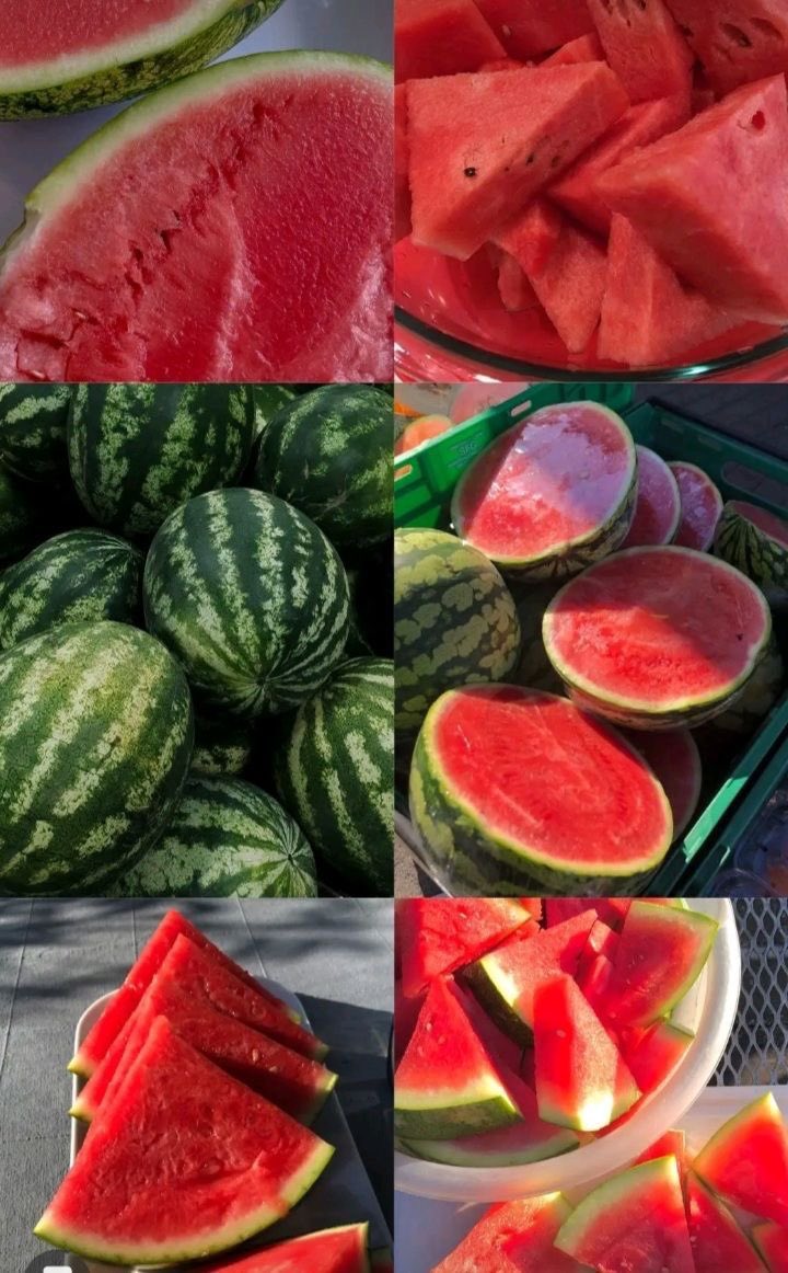 المعجزه ام ادم tweet media