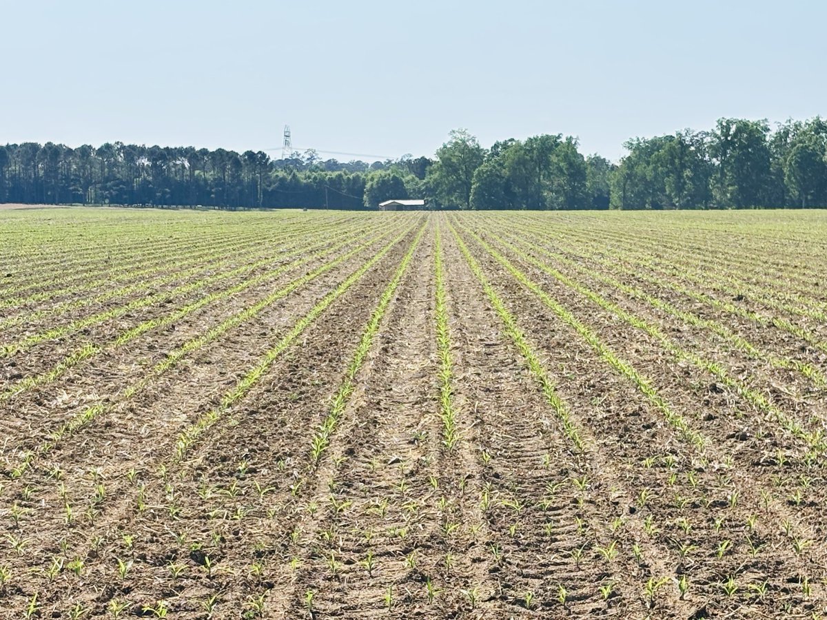 Shep Bickley tweet media