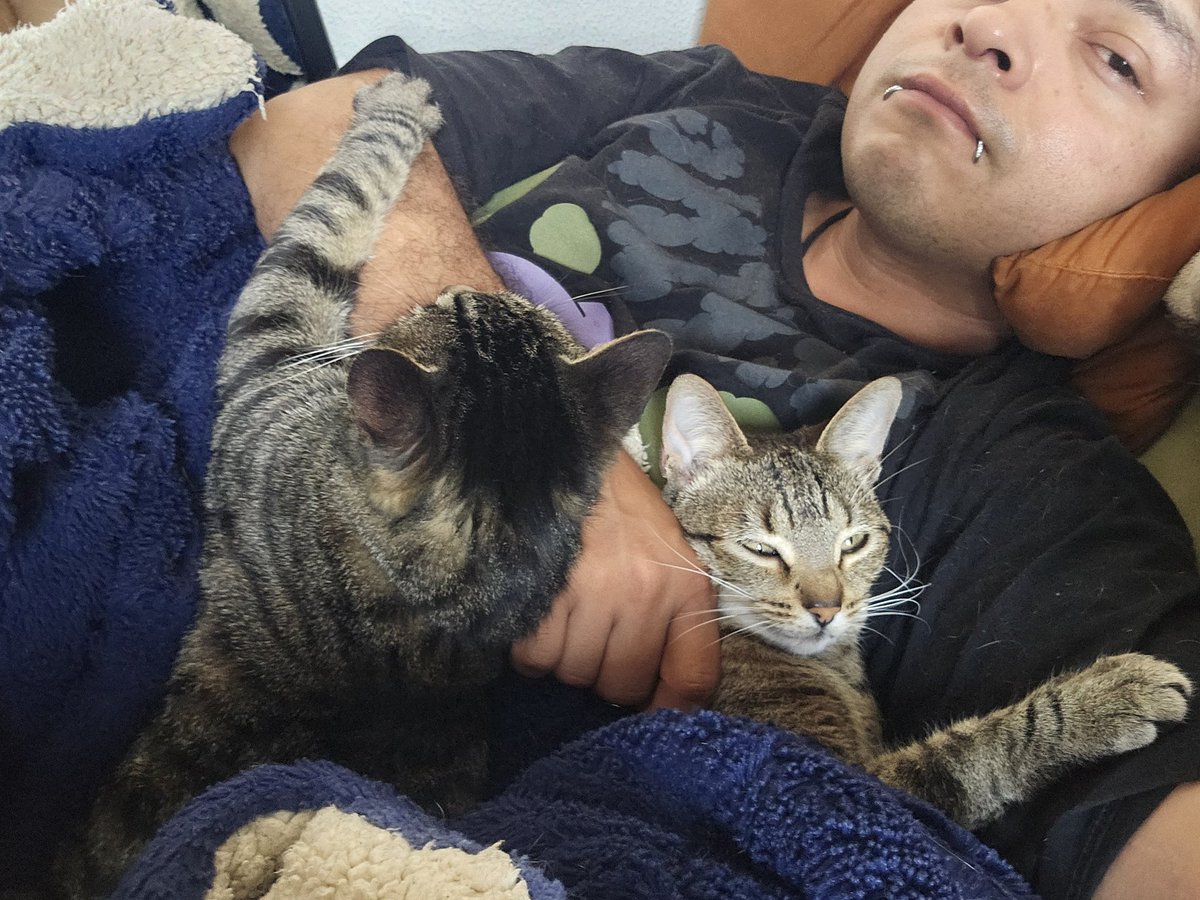 El regreso de Vino barato (Más barato que nunca) tweet media