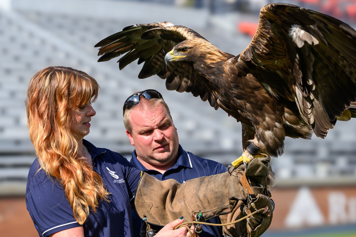 Auburn University tweet media