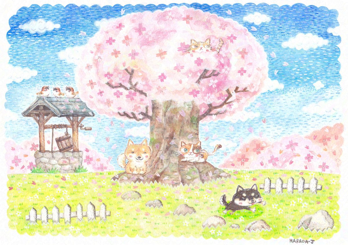 ハラダJ@北ティア5/10れみむら5/31 tweet media