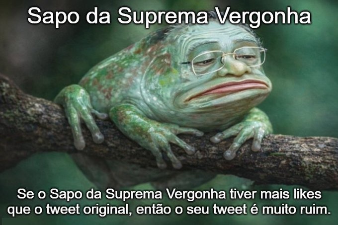 maligator tweet media