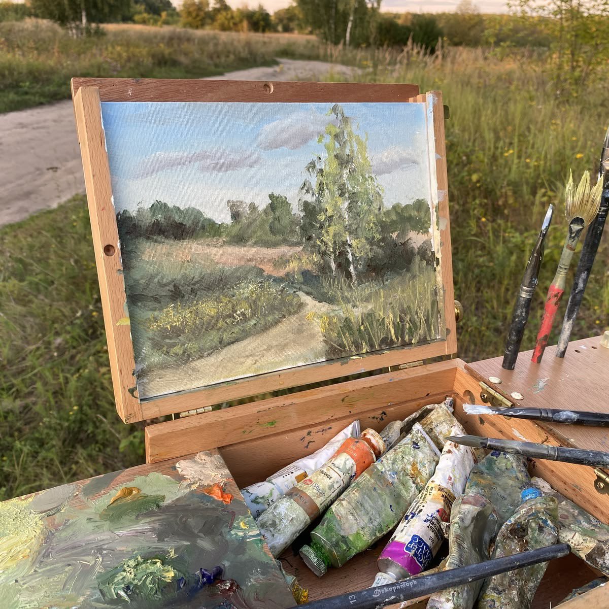 Jeremy ☀️ (@sunsknox) on Twitter photo 