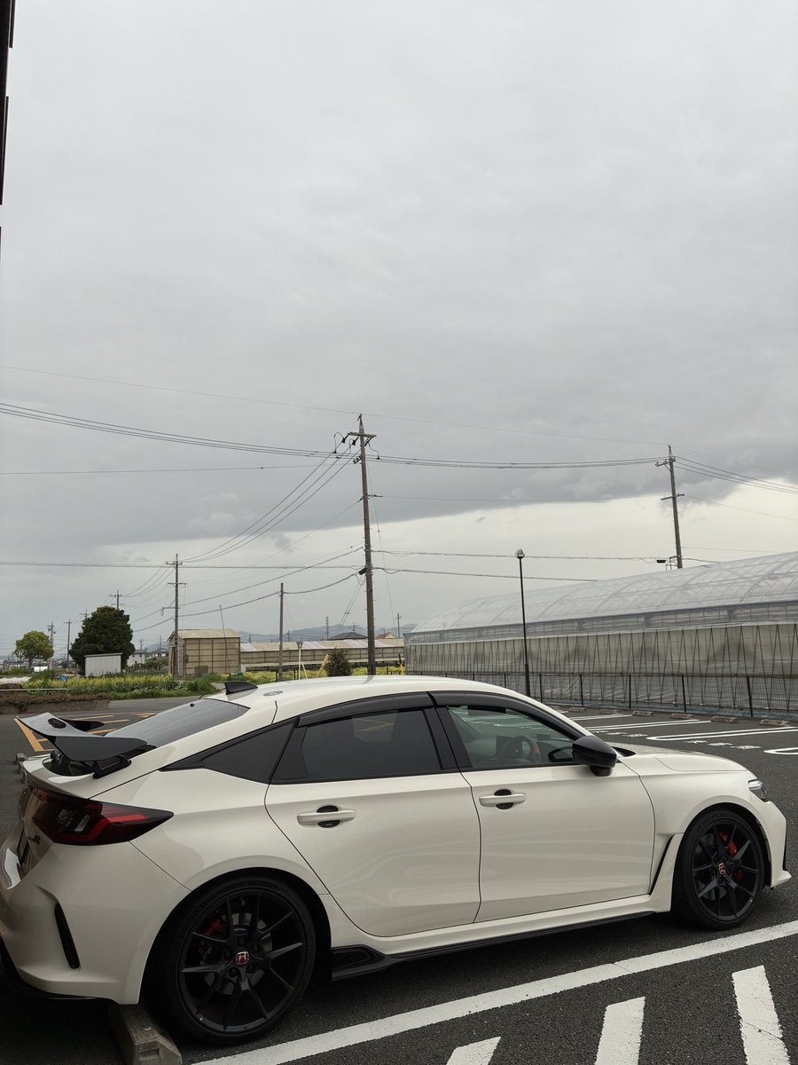 柴犬ちゃちゃ tweet media